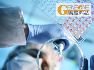 上海吉盈醫(yī)療器械有限公司