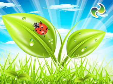 上海華向環(huán)保科技有限公司