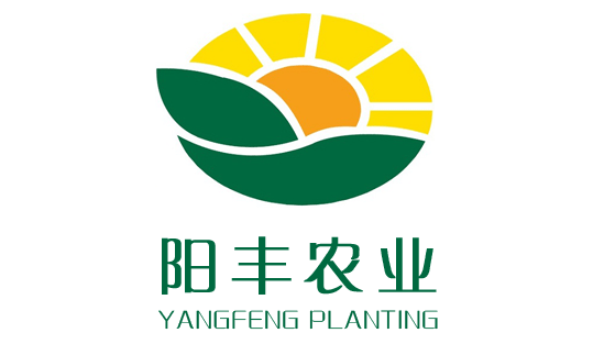 邯鄲陽豐綠色農(nóng)業(yè)邯鄲網(wǎng)站建設(shè)案例m.34611.cn